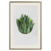 Poster Fragrant Circle - plant composition with green leaves on a white background 137278 additionalThumb 5