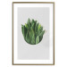 Poster Fragrant Circle - plant composition with green leaves on a white background 137278 additionalThumb 7