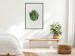 Poster Fragrant Circle - plant composition with green leaves on a white background 137278 additionalThumb 15