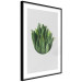Poster Fragrant Circle - plant composition with green leaves on a white background 137278 additionalThumb 25