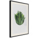 Poster Fragrant Circle - plant composition with green leaves on a white background 137278 additionalThumb 23