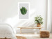 Poster Fragrant Circle - plant composition with green leaves on a white background 137278 additionalThumb 16