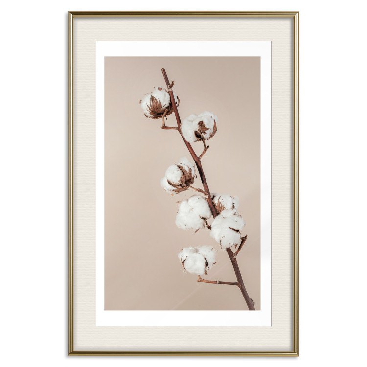 Wall Poster Softness of Cotton - plant with soft white flowers on a beige background 137978 additionalImage 2