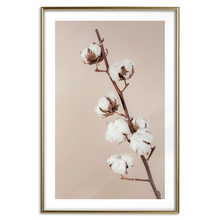 Wall Poster Softness of Cotton - plant with soft white flowers on a beige background 137978 additionalImage 6