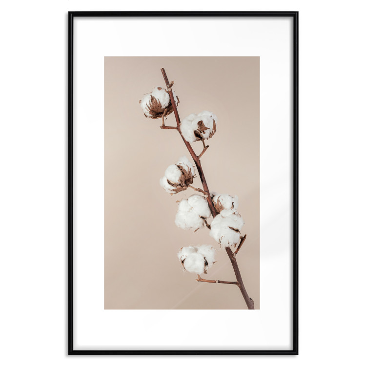Wall Poster Softness of Cotton - plant with soft white flowers on a beige background 137978 additionalImage 5