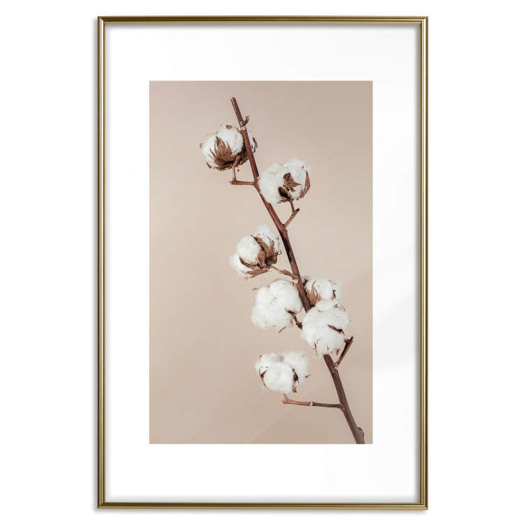 Wall Poster Softness of Cotton - plant with soft white flowers on a beige background 137978 additionalImage 4