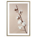 Wall Poster Softness of Cotton - plant with soft white flowers on a beige background 137978 additionalThumb 6