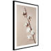 Wall Poster Softness of Cotton - plant with soft white flowers on a beige background 137978 additionalThumb 23