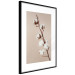 Wall Poster Softness of Cotton - plant with soft white flowers on a beige background 137978 additionalThumb 21