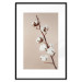 Wall Poster Softness of Cotton - plant with soft white flowers on a beige background 137978 additionalThumb 5