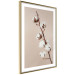 Wall Poster Softness of Cotton - plant with soft white flowers on a beige background 137978 additionalThumb 16