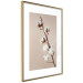 Wall Poster Softness of Cotton - plant with soft white flowers on a beige background 137978 additionalThumb 20
