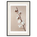 Wall Poster Softness of Cotton - plant with soft white flowers on a beige background 137978 additionalThumb 3