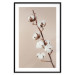 Wall Poster Softness of Cotton - plant with soft white flowers on a beige background 137978 additionalThumb 7