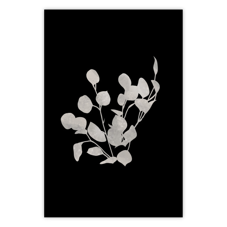 Wall Poster Eucalyptus Twigs - Minimalist Leaves on a Dark Background 146178