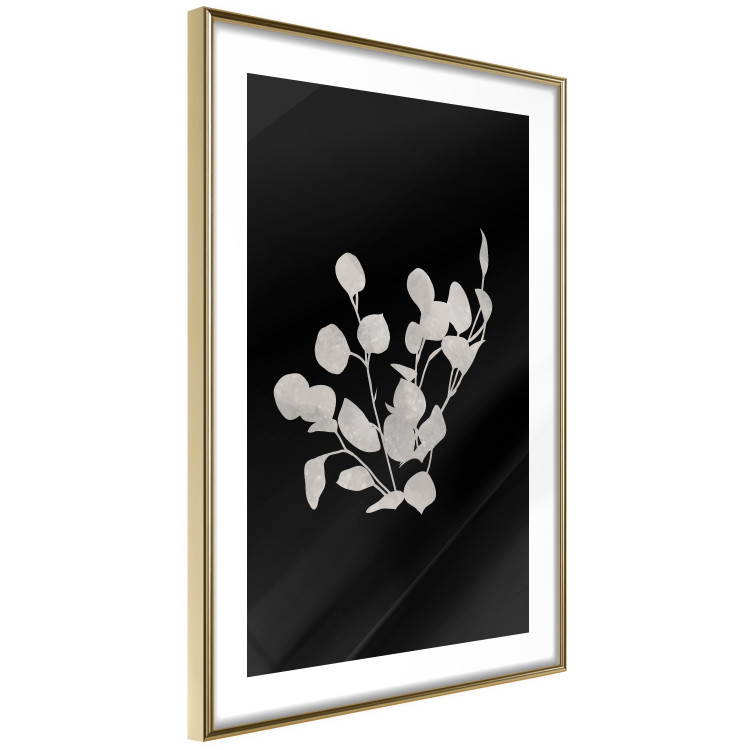 Wall Poster Eucalyptus Twigs - Minimalist Leaves on a Dark Background 146178 additionalImage 12