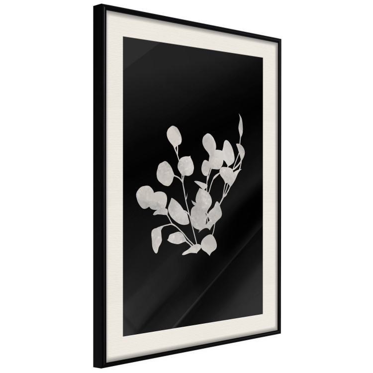 Wall Poster Eucalyptus Twigs - Minimalist Leaves on a Dark Background 146178 additionalImage 14