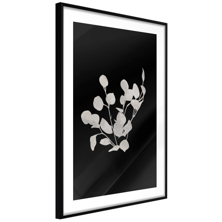 Wall Poster Eucalyptus Twigs - Minimalist Leaves on a Dark Background 146178 additionalImage 8