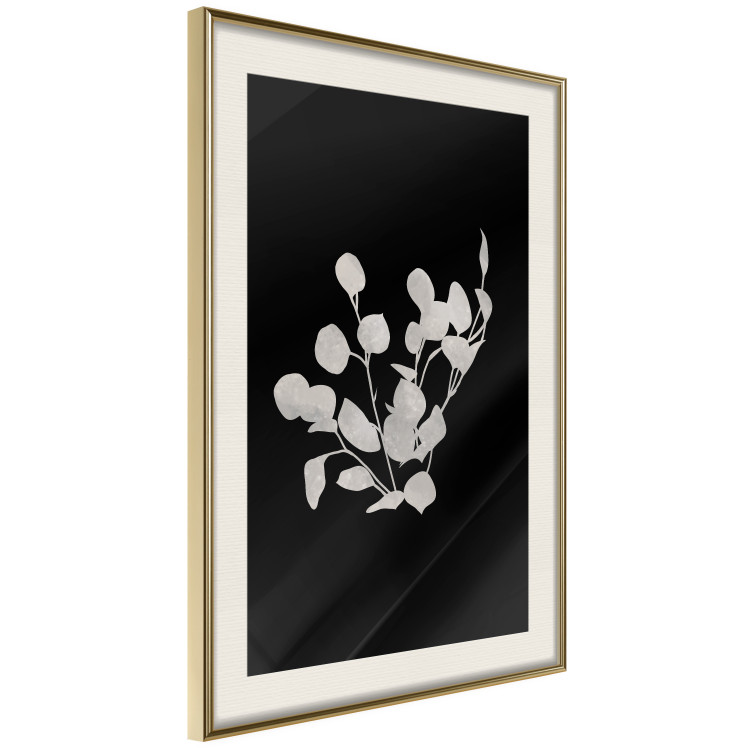 Wall Poster Eucalyptus Twigs - Minimalist Leaves on a Dark Background 146178 additionalImage 6