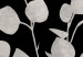 Wall Poster Eucalyptus Twigs - Minimalist Leaves on a Dark Background 146178 additionalThumb 2