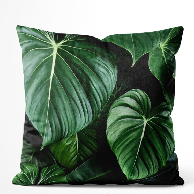 Decorative Velor Pillow Philodendron gloriosum - exotic plants with rich detailing 147078