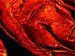 Canvas Flaming poppy 50378 additionalThumb 3
