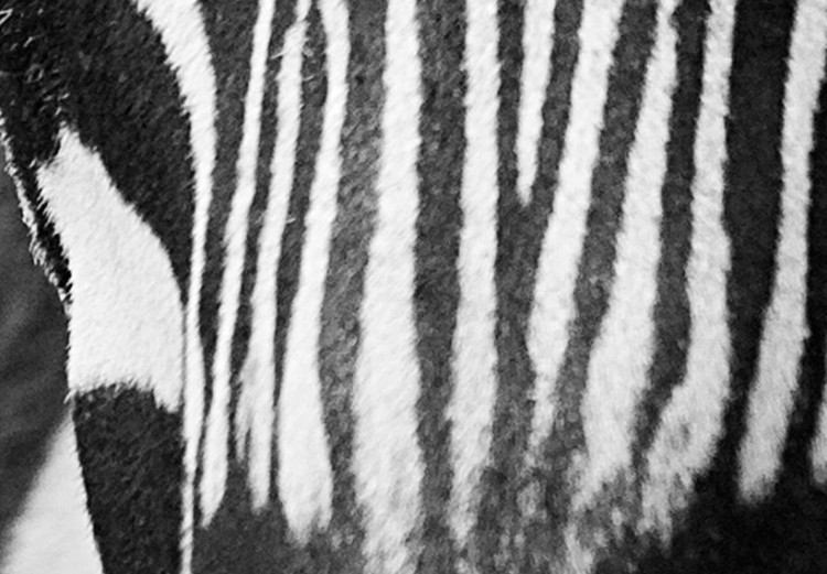 Canvas Art Print Zebra look 58478 additionalImage 4