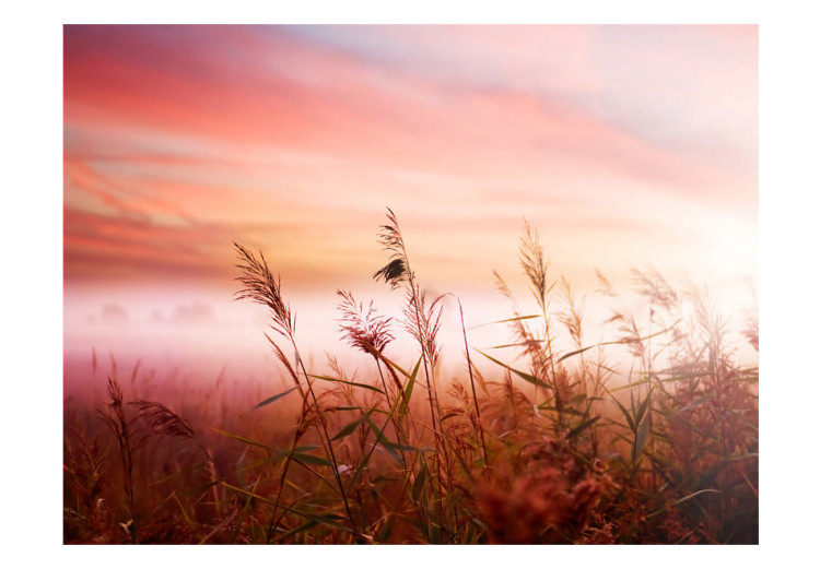 Photo Wallpaper Morning meadow 60478 additionalImage 1