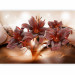 Photo Wallpaper Fiery lilies - abstract with flowers with glowing background and patterns 64178 additionalThumb 5