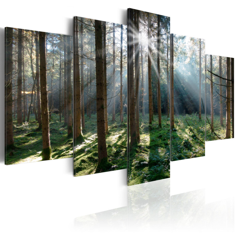 Canvas Art Print Fairytale Forest  88678 additionalImage 2