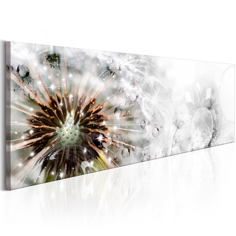 Canvas Art Print Dandelion morning - the petals of the plant bathed in dew in white 98178 additionalImage 2