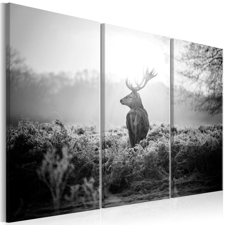 Canvas Deer in Nostalgia (3-piece) - Black and White Stag Figure in Field 105788 additionalImage 2