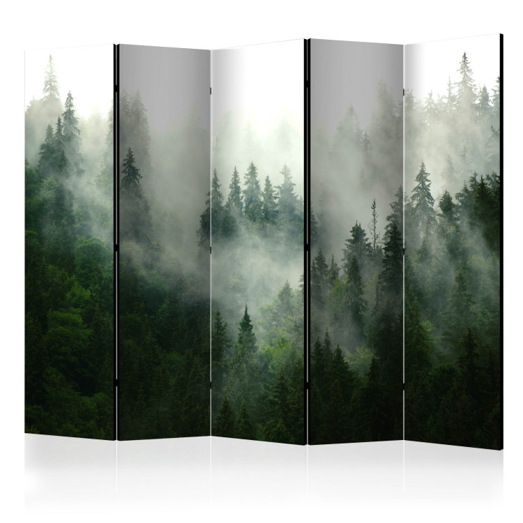 Room Divider Screen Coniferous Forest II - landscape of spruce forest scenery in fog 114188