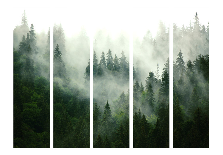 Room Divider Screen Coniferous Forest II - landscape of spruce forest scenery in fog 114188 additionalImage 3