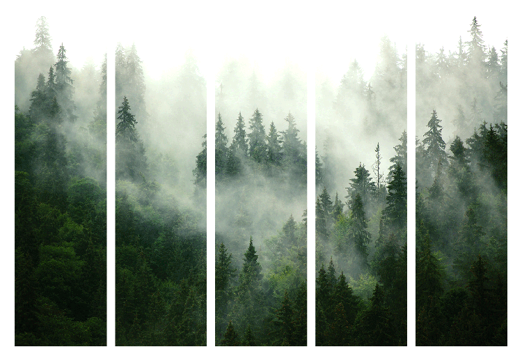 Room Divider Screen Coniferous Forest II - landscape of spruce forest scenery in fog 114188 additionalImage 7
