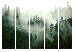 Room Divider Screen Coniferous Forest II - landscape of spruce forest scenery in fog 114188 additionalThumb 7