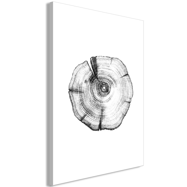 Canvas Print Tree rings - black and white, cross-section of the tree trunk 116588 additionalImage 2