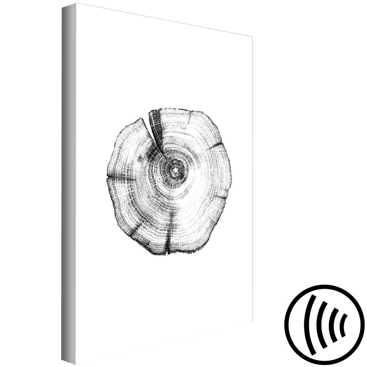 Canvas Print Tree rings - black and white, cross-section of the tree trunk 116588 additionalImage 6