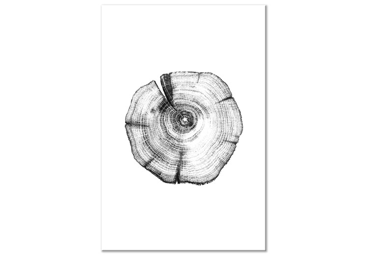 Canvas Print Tree rings - black and white, cross-section of the tree trunk 116588
