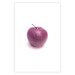Wall Poster Apple - red fruit with water droplets on a solid white background 116788 additionalThumb 25