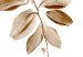 Wall Poster August Leaves - plant in autumnal atmosphere with golden leaves 123488 additionalThumb 11