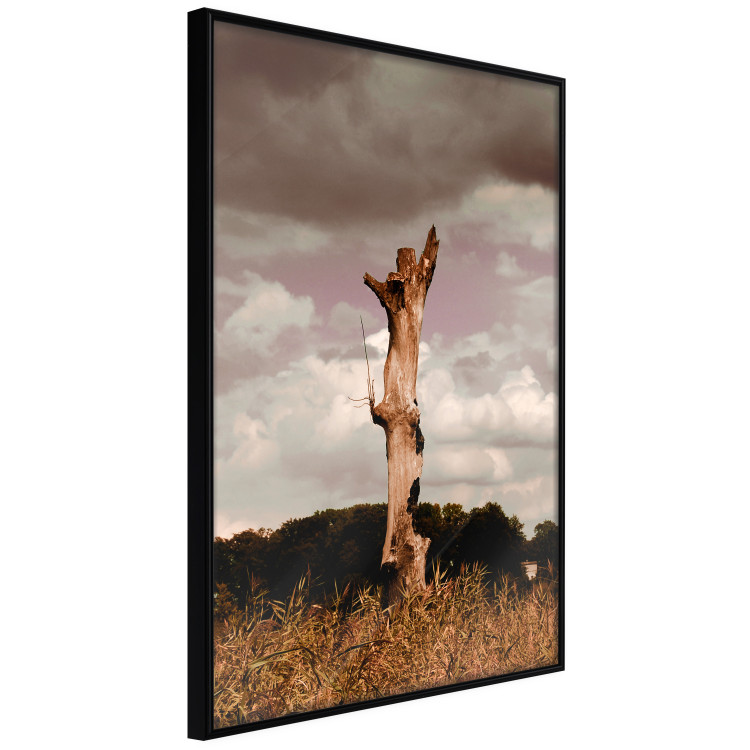 Poster Memory of the Sky - old tree trunk surrounded by meadow against sky 124388 additionalImage 10