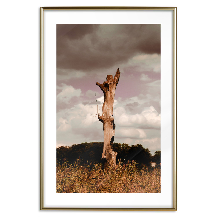 Poster Memory of the Sky - old tree trunk surrounded by meadow against sky 124388 additionalImage 14