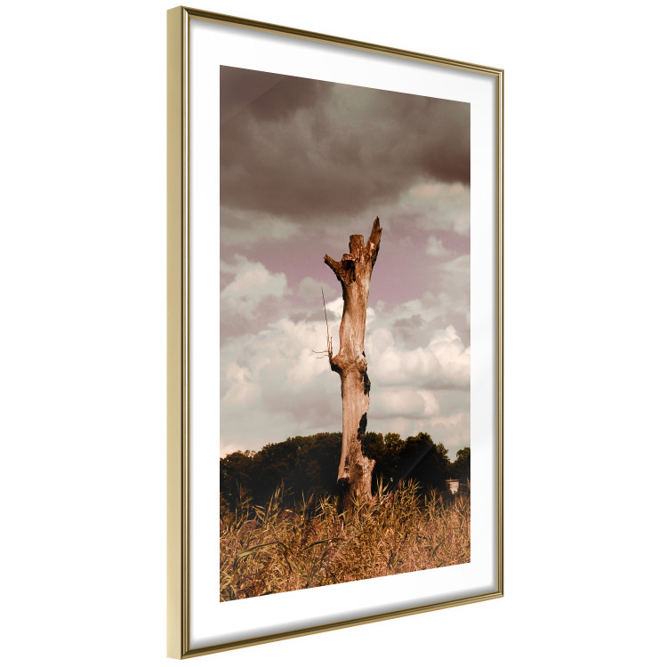 Poster Memory of the Sky - old tree trunk surrounded by meadow against sky 124388 additionalImage 6