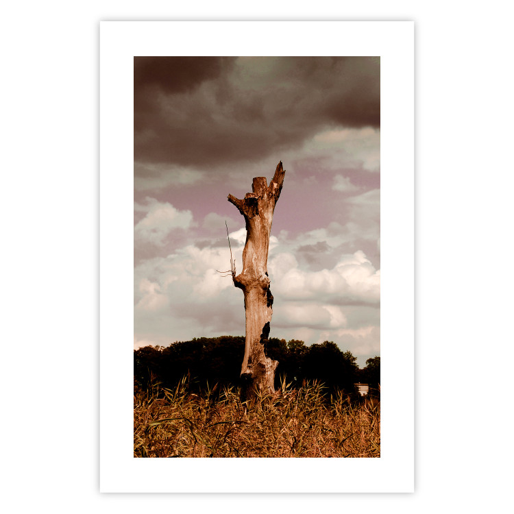 Poster Memory of the Sky - old tree trunk surrounded by meadow against sky 124388 additionalImage 19