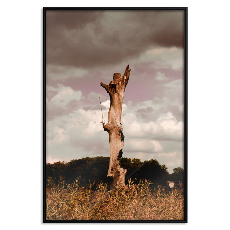 Poster Memory of the Sky - old tree trunk surrounded by meadow against sky 124388 additionalImage 18