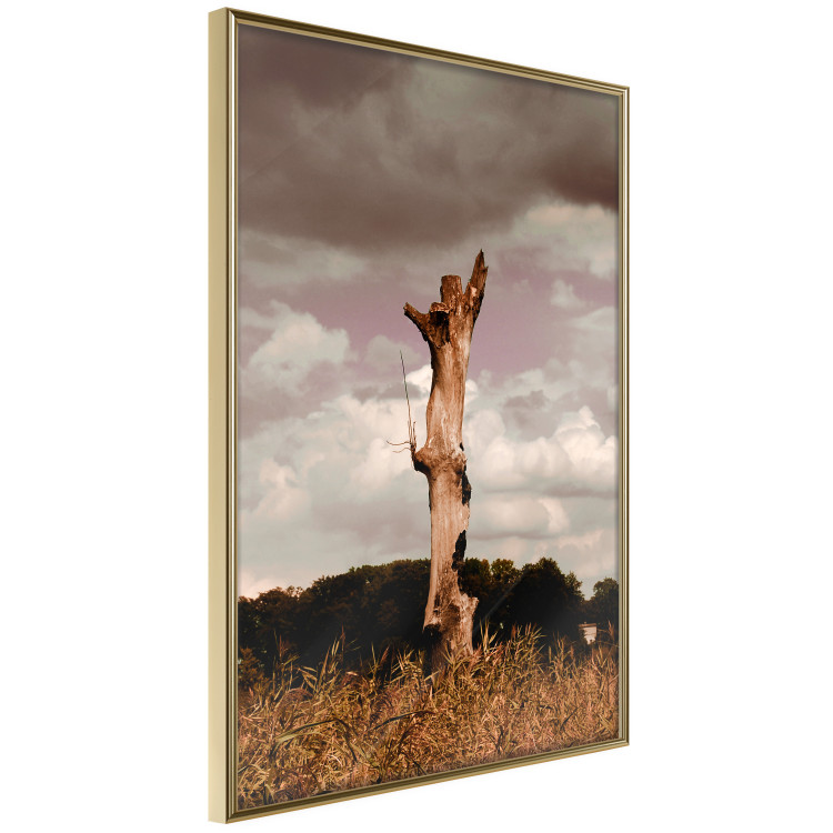Poster Memory of the Sky - old tree trunk surrounded by meadow against sky 124388 additionalImage 12