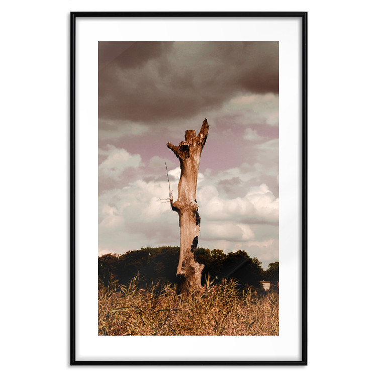 Poster Memory of the Sky - old tree trunk surrounded by meadow against sky 124388 additionalImage 15