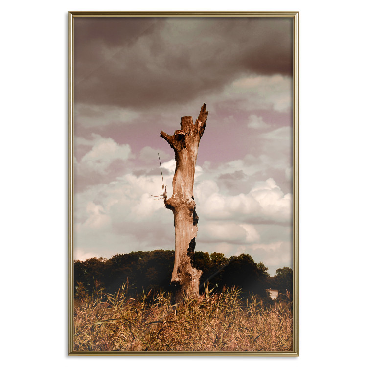 Poster Memory of the Sky - old tree trunk surrounded by meadow against sky 124388 additionalImage 16