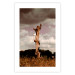 Poster Memory of the Sky - old tree trunk surrounded by meadow against sky 124388 additionalThumb 19